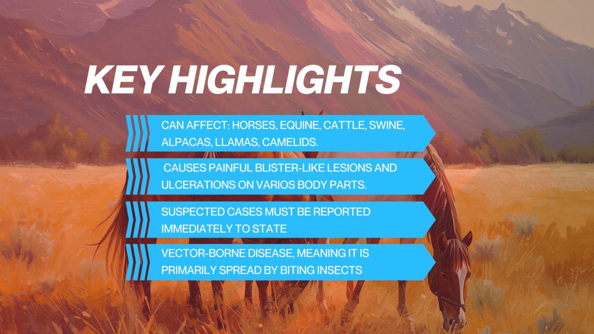 Key Highlights - Vesicular Stomatitis Confirmed in Colorado What Horse and Livestock Owners Need to Know