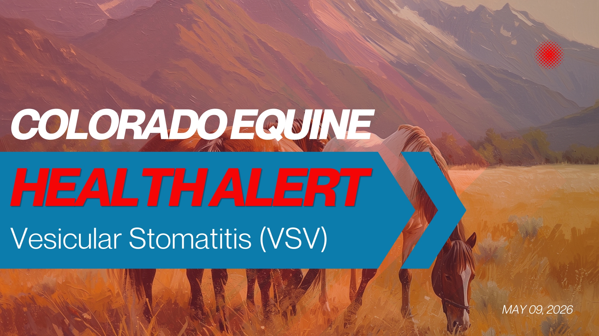 Vesicular Stomatitis Confirmed in Colorado: What Horse and Livestock Owners Need to Know