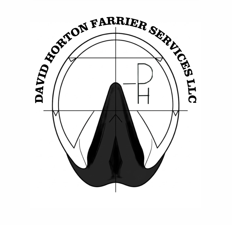 DHFS LOGO 768x746